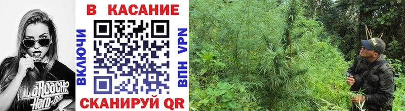 Где купить наркоту Хадыженск A-PVP  ГАШИШ  Cocaine 